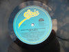 The Fureys – When You Were Sweet Sixteen LP vinyl record, image 6 of 6