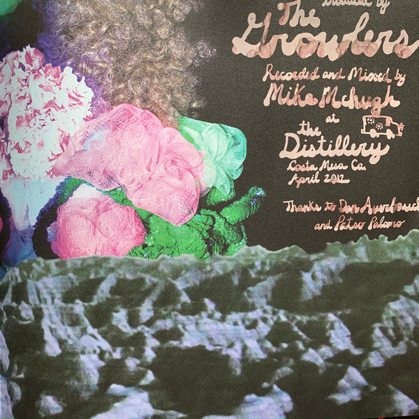 The Growlers – Hung At Heart LP vinyl record, image 4 of 7