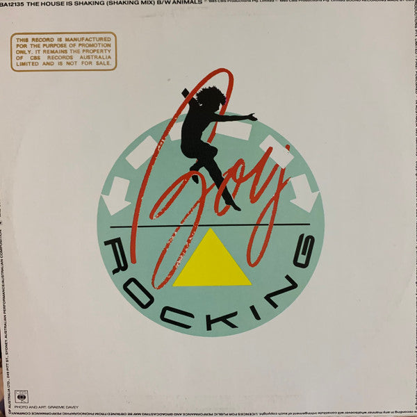 Boy Rocking – The House Is Shaking 12" vinyl record, image 2 of 4
