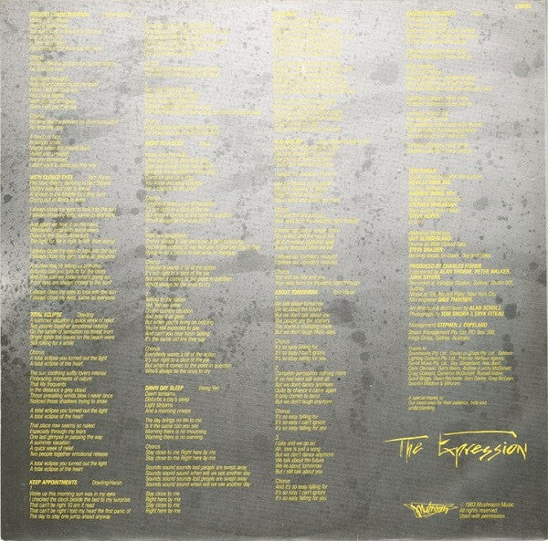 The Expression – The Expression LP vinyl record, image 5 of 6