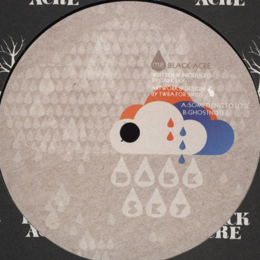 Dark Sky – Something To Lose 12" vinyl record, image 1 of 2