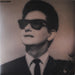 Roy Orbison – The Monument Singles Collection (1960-1964) (2xLP) LP vinyl record, image 9 of 10