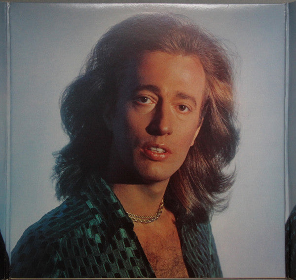 Bee Gees – Bee Gees Greatest (2xLP) LP vinyl record, image 5 of 10