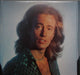 Bee Gees – Bee Gees Greatest (2xLP) LP vinyl record, image 5 of 10