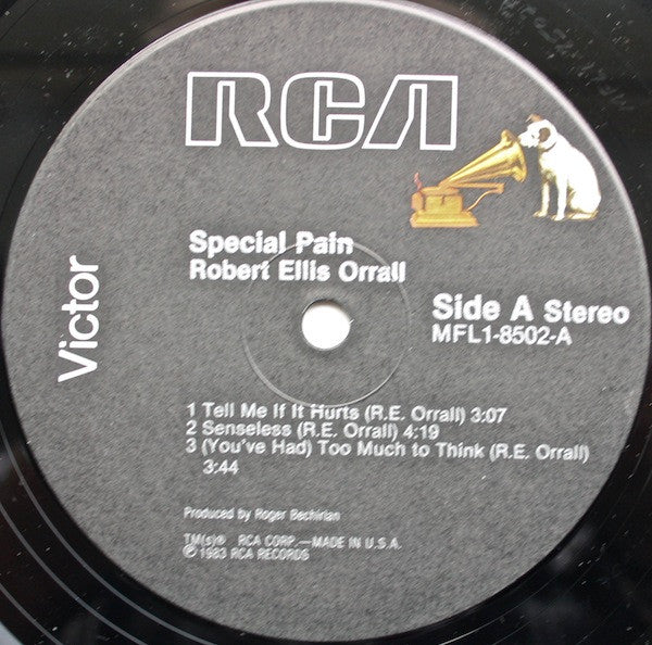 Robert Ellis Orrall – Special Pain LP vinyl record, image 5 of 6