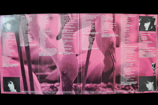 Dave McArtney & The Pink Flamingos – We Never Close LP vinyl record, image 3 of 5