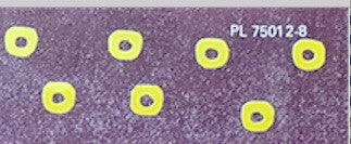 The Wedding Present – Seamonsters LP vinyl record, image 7 of 10