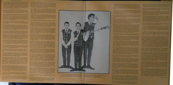 Bee Gees – Birth Of Brilliance (2xLP) LP vinyl record, image 4 of 10