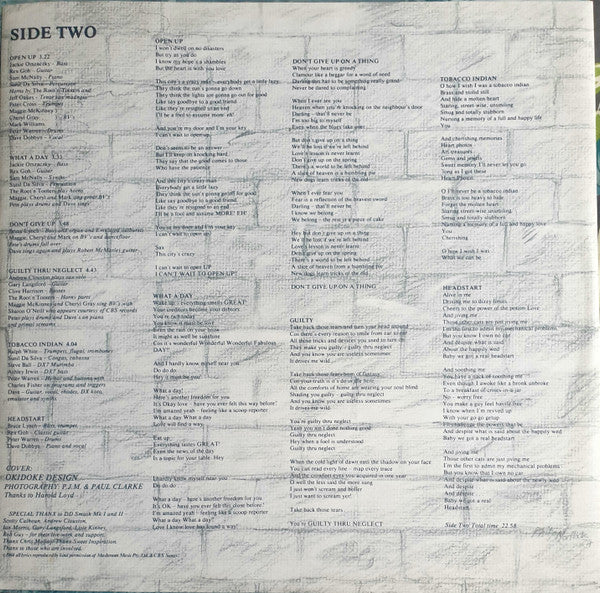 DD Smash – The Optimist LP vinyl record, image 6 of 6