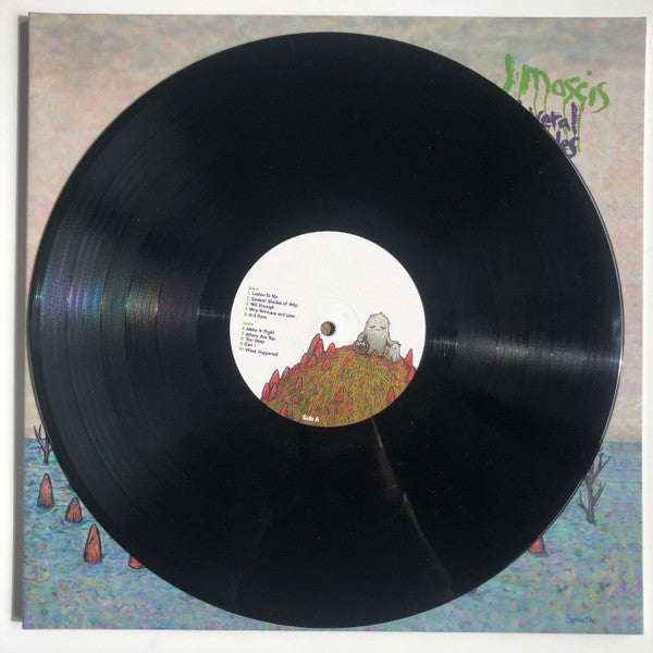 J Mascis – Several Shades Of Why LP vinyl record, image 5 of 6