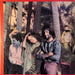 Richard Clapton – Goodbye Tiger LP vinyl record, image 2 of 8