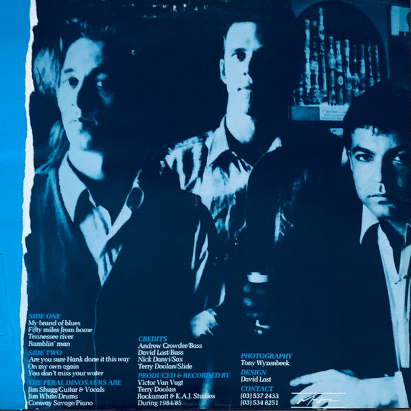The Feral Dinosaurs – You've All Got A Home To Go To LP vinyl record, image 2 of 4