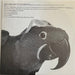 Graham Parker – The Real Macaw LP vinyl record, image 4 of 6