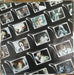The Tubes – The Tubes LP vinyl record, image 5 of 7