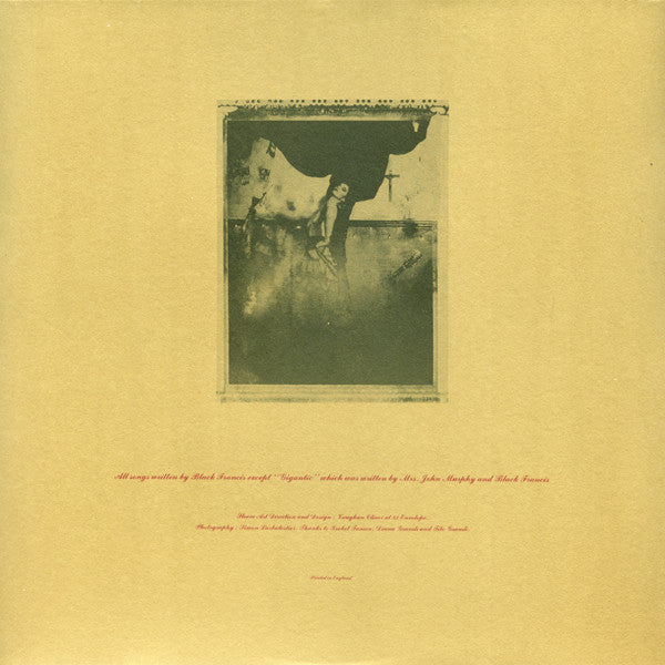 Pixies – Surfer Rosa LP vinyl record, image 6 of 6