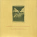 Pixies – Surfer Rosa LP vinyl record, image 6 of 6