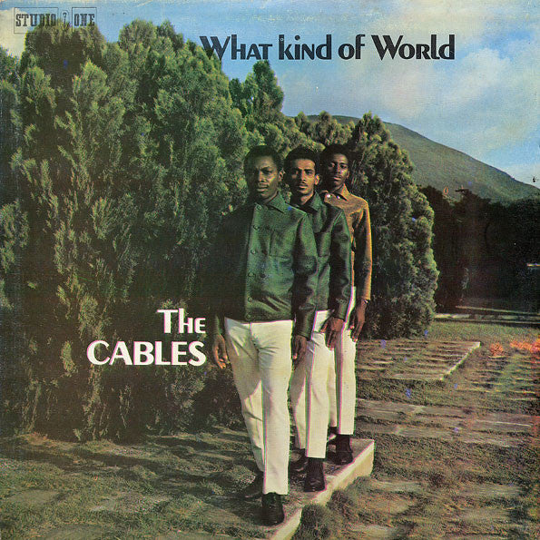 The Cables – What Kind Of World LP vinyl record, image 1 of 3