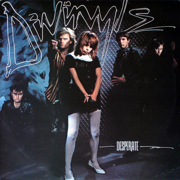 Divinyls – Desperate LP vinyl record, image 1 of 4