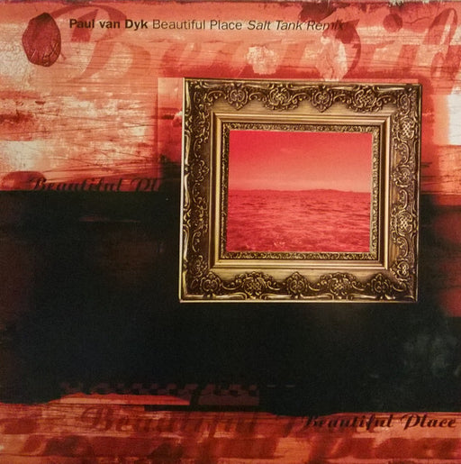 Paul van Dyk – Beautiful Place (Salt Tank Remix) 12" vinyl record, image 1 of 4