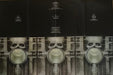 Emerson, Lake & Palmer – Brain Salad Surgery LP vinyl record, image 7 of 7