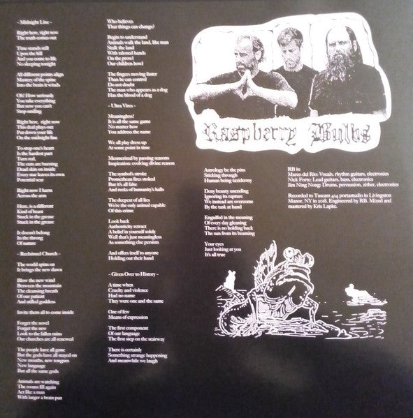 Raspberry Bulbs – Before The Age Of Mirrors LP vinyl record, image 2 of 5