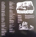 Raspberry Bulbs – Before The Age Of Mirrors LP vinyl record, image 2 of 5