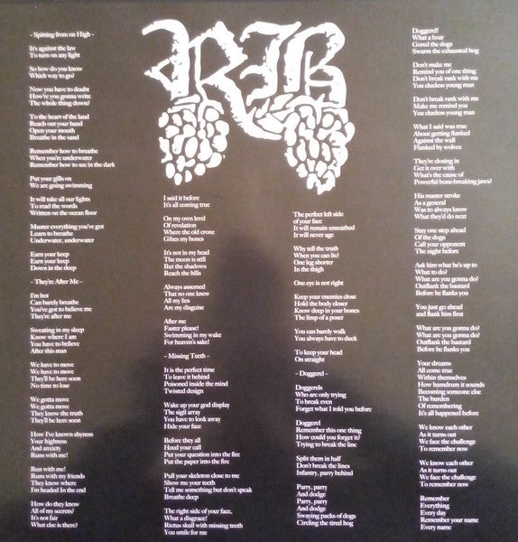 Raspberry Bulbs – Before The Age Of Mirrors LP vinyl record, image 3 of 5