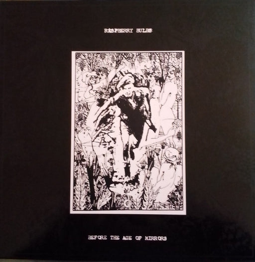 Raspberry Bulbs – Before The Age Of Mirrors LP vinyl record, image 1 of 5