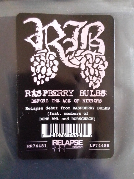 Raspberry Bulbs – Before The Age Of Mirrors LP vinyl record, image 5 of 5