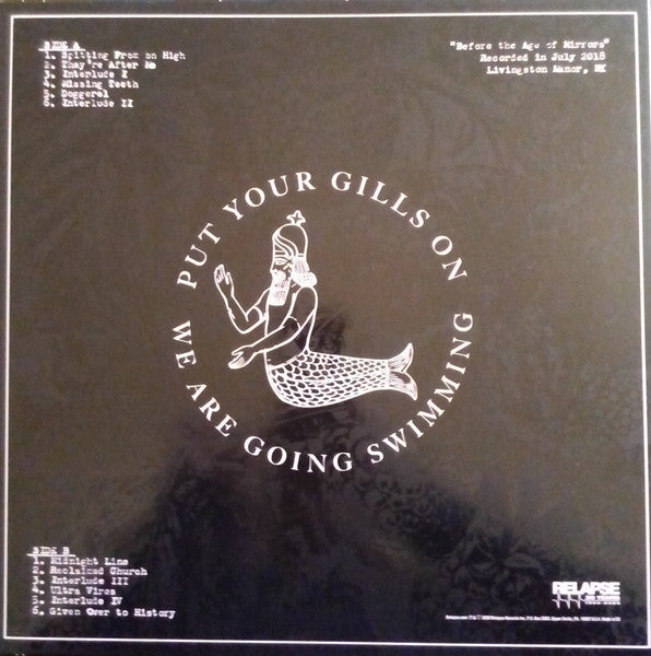 Raspberry Bulbs – Before The Age Of Mirrors LP vinyl record, image 4 of 5