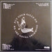 Raspberry Bulbs – Before The Age Of Mirrors LP vinyl record, image 4 of 5