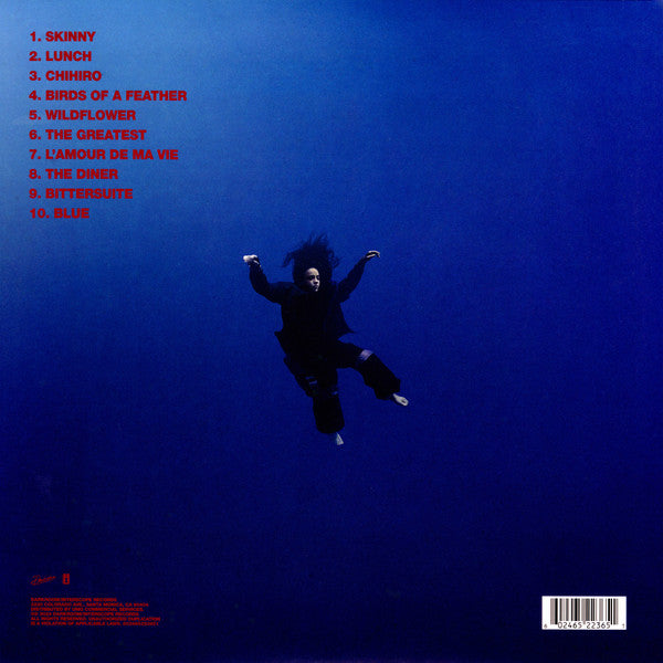 Billie Eilish – Hit Me Hard And Soft LP vinyl record, image 3 of 10
