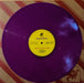 Tropical Fuck Storm – Braindrops LP vinyl record, image 10 of 10