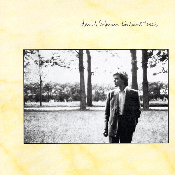 David Sylvian – Brilliant Trees LP vinyl record, image 1 of 7