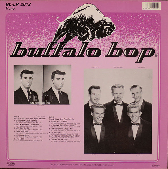 Various – Buffalo Bop: The Bop That Never Stopped Volume 10 LP vinyl record, image 2 of 4