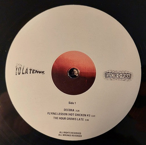 Yo La Tengo – Electr-O-Pura (2xLP) LP vinyl record, image 3 of 9