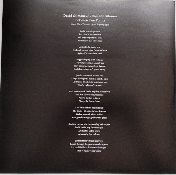 David Gilmour, Romany Gilmour – Between Two Points 12" vinyl record, image 3 of 9