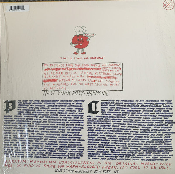 Parquet Courts – Light Up Gold LP vinyl record, image 3 of 10