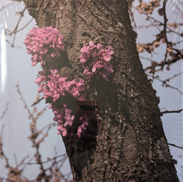 Duval Timothy – Meeting With A Judas Tree LP vinyl record, image 1 of 5