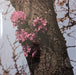 Duval Timothy – Meeting With A Judas Tree LP vinyl record, image 1 of 5