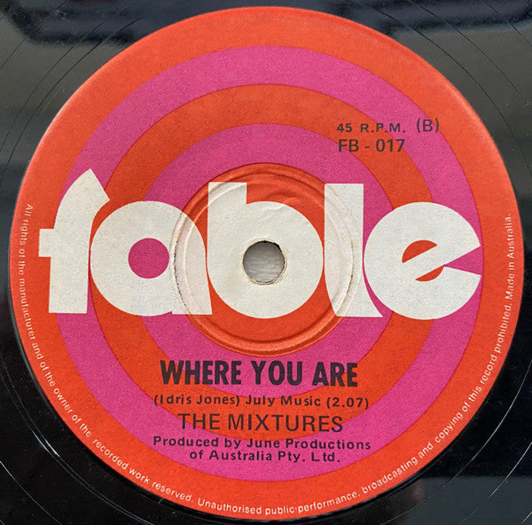 The Mixtures – In The Summertime 7" vinyl record, image 2 of 3