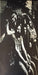 Steely Dan – Pretzel Logic LP vinyl record, image 2 of 5