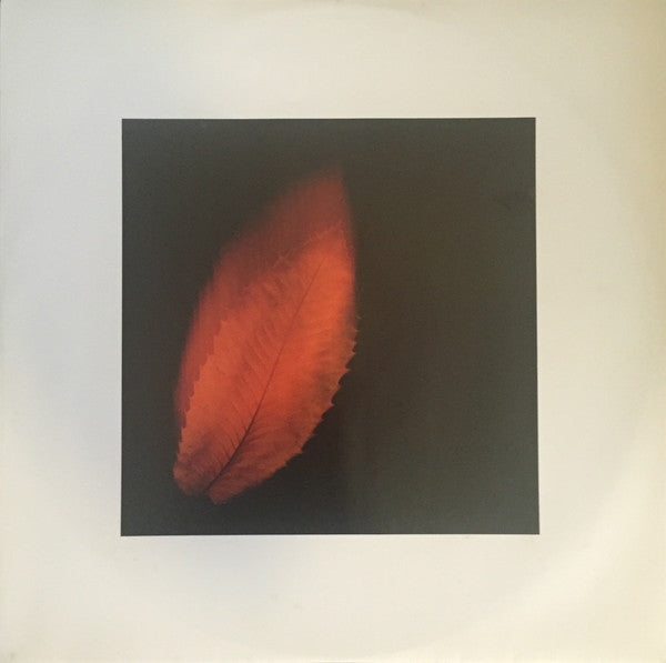 Peter Gabriel – Shaking The Tree (Twelve Golden Greats) LP vinyl record, image 3 of 6