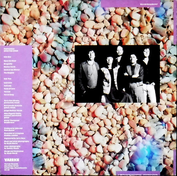 Pentangle – Open The Door LP vinyl record, image 2 of 4