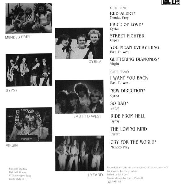 Various – Parkside Steelworks LP vinyl record, image 2 of 2