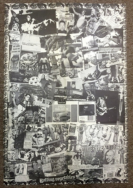 Dead Kennedys – Fresh Fruit For Rotting Vegetables LP vinyl record, image 7 of 9