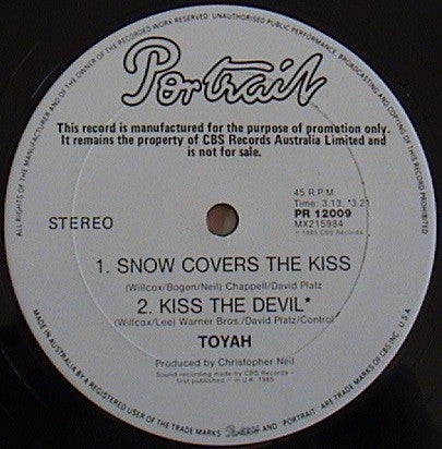 Toyah – Don't Fall In Love (I Said) 12" vinyl record, image 7 of 7