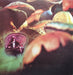 Rick Wakeman – Journey To The Centre Of The Earth LP vinyl record, image 9 of 10