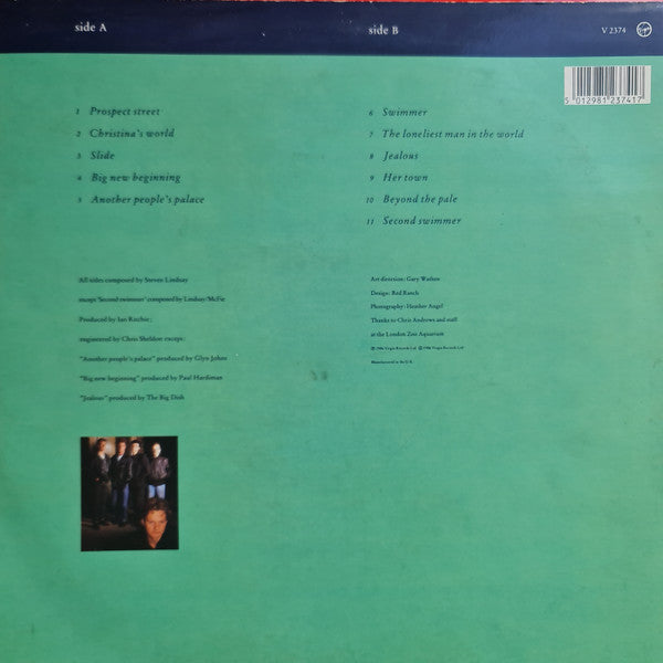 The Big Dish – Swimmer LP vinyl record, image 2 of 8