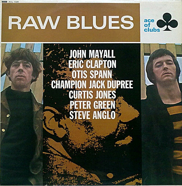 Various – Raw Blues